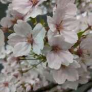 ヒメ日記 2025/02/22 09:46 投稿 りょう 豊満熟女