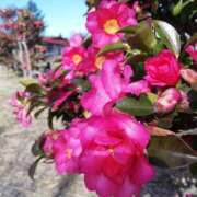 ヒメ日記 2025/02/24 09:30 投稿 りょう 豊満熟女