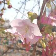 ヒメ日記 2025/02/28 10:20 投稿 りょう 豊満熟女