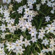 ヒメ日記 2025/03/02 09:22 投稿 りょう 豊満熟女