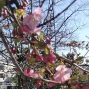 ヒメ日記 2025/03/03 10:26 投稿 りょう 豊満熟女