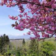 ヒメ日記 2025/03/09 09:54 投稿 りょう 豊満熟女