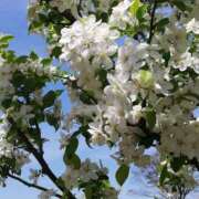 ヒメ日記 2025/03/13 12:20 投稿 りょう 豊満熟女