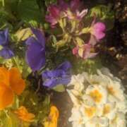 ヒメ日記 2025/03/28 11:24 投稿 りょう 豊満熟女