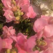 ヒメ日記 2025/03/30 11:04 投稿 りょう 豊満熟女