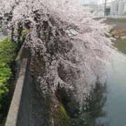 ヒメ日記 2025/03/31 12:32 投稿 りょう 豊満熟女