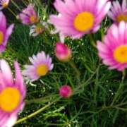 ヒメ日記 2025/04/13 11:28 投稿 りょう 豊満熟女