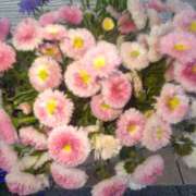 ヒメ日記 2025/05/04 10:14 投稿 りょう 豊満熟女