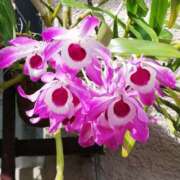 ヒメ日記 2025/06/02 10:22 投稿 りょう 豊満熟女