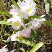 ヒメ日記 2025/06/13 11:38 投稿 りょう 豊満熟女