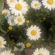 ヒメ日記 2025/08/21 10:28 投稿 りょう 豊満熟女