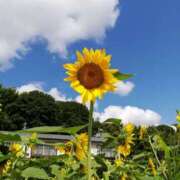 ヒメ日記 2025/08/28 10:34 投稿 りょう 豊満熟女