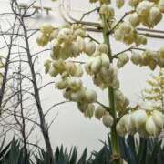 ヒメ日記 2025/10/13 10:14 投稿 りょう 豊満熟女