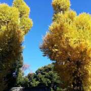 ヒメ日記 2025/12/22 10:38 投稿 りょう 豊満熟女