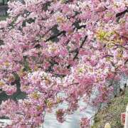 ヒメ日記 2026/02/28 09:48 投稿 りょう 豊満熟女