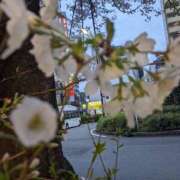 ヒメ日記 2026/03/03 10:22 投稿 りょう 豊満熟女