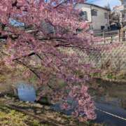 ヒメ日記 2026/03/08 09:20 投稿 りょう 豊満熟女