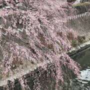 ヒメ日記 2026/03/23 10:30 投稿 りょう 豊満熟女