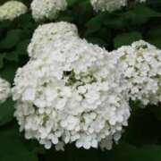 ヒメ日記 2026/06/07 10:34 投稿 りょう 豊満熟女