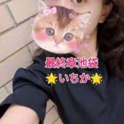 ヒメ日記 2025/08/26 10:52 投稿 いちか 熟女の風俗最終章 池袋店