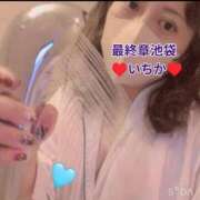 ヒメ日記 2025/11/04 06:52 投稿 いちか 熟女の風俗最終章 池袋店