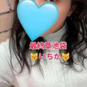 ヒメ日記 2025/11/26 11:03 投稿 いちか 熟女の風俗最終章 池袋店