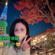 ヒメ日記 2025/12/19 10:34 投稿 いちか 熟女の風俗最終章 池袋店