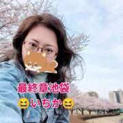 ヒメ日記 2026/04/07 08:18 投稿 いちか 熟女の風俗最終章 池袋店