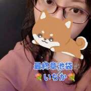 ヒメ日記 2026/04/14 16:08 投稿 いちか 熟女の風俗最終章 池袋店