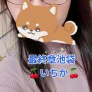 ヒメ日記 2026/04/18 10:07 投稿 いちか 熟女の風俗最終章 池袋店