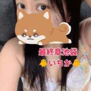 ヒメ日記 2026/07/23 09:05 投稿 いちか 熟女の風俗最終章 池袋店