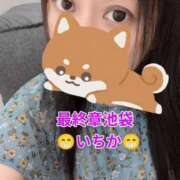 ヒメ日記 2026/07/25 07:13 投稿 いちか 熟女の風俗最終章 池袋店