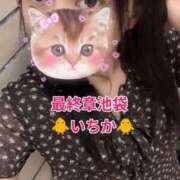 ヒメ日記 2026/08/14 16:03 投稿 いちか 熟女の風俗最終章 池袋店