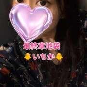 ヒメ日記 2026/08/19 16:32 投稿 いちか 熟女の風俗最終章 池袋店