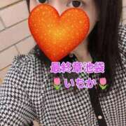 ヒメ日記 2026/09/17 13:02 投稿 いちか 熟女の風俗最終章 池袋店