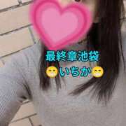 ヒメ日記 2026/09/20 12:54 投稿 いちか 熟女の風俗最終章 池袋店