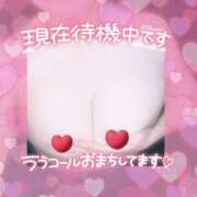 まい 待機中だよ🥺 僕らのぽっちゃリーノin野田