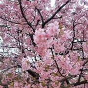 ヒメ日記 2025/03/13 16:42 投稿 宝井　葉月 Eternity～若妻の悪戯～（エタニティー）