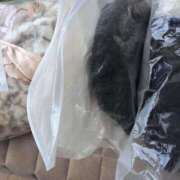 宝井　葉月 おは葉月♪ Eternity～若妻の悪戯～（エタニティー）