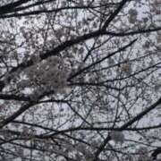 ヒメ日記 2026/04/04 11:59 投稿 宝井　葉月 Eternity～若妻の悪戯～（エタニティー）