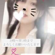 ヒメ日記 2025/03/26 20:03 投稿 華奈 OLアロマ Office Love-オフィスラブ-