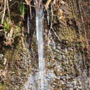 ヒメ日記 2025/02/06 22:35 投稿 まや ギン妻パラダイス京橋店