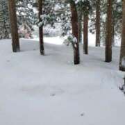 ヒメ日記 2025/02/24 09:25 投稿 まや ギン妻パラダイス京橋店