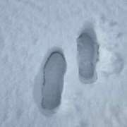 ヒメ日記 2025/02/25 07:14 投稿 まや ギン妻パラダイス京橋店