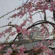 ヒメ日記 2025/04/15 10:32 投稿 まや ギン妻パラダイス京橋店