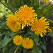 ヒメ日記 2025/04/18 16:54 投稿 まや ギン妻パラダイス京橋店