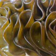 ヒメ日記 2025/05/23 07:53 投稿 まや ギン妻パラダイス京橋店