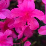 ヒメ日記 2025/05/28 21:19 投稿 まや ギン妻パラダイス京橋店