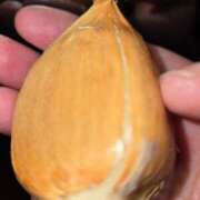 ヒメ日記 2025/10/28 08:14 投稿 まや ギン妻パラダイス京橋店