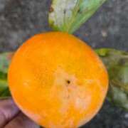 ヒメ日記 2025/11/03 22:52 投稿 まや ギン妻パラダイス京橋店